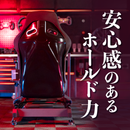DELE DRS-2 レーシングコックピット 国内正規品