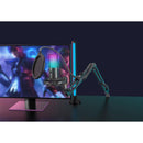 FIFINE T669 Pro USBコンデンサーマイク RGB 単一指向性 アームスタンド ショックマウント付き PC/PS4/PS5/Mac 日本正規代理店