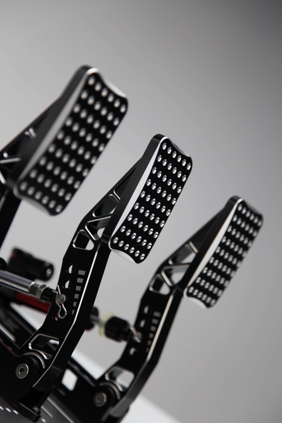 P2000-100KG/200KG ペダル 日本正規代理店 | dele.io